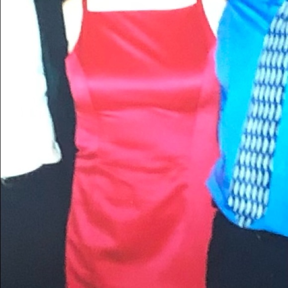 Beautiful Dress! - Picture 7 of 7